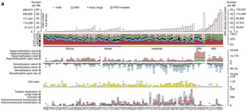 Offers genome wide